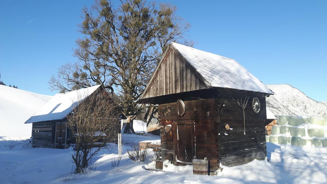 Apartament Kulmerhof - Farm Pruggern Zewnętrze zdjęcie