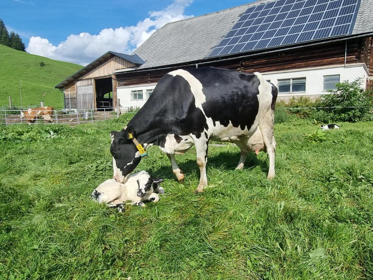 Apartament Kulmerhof - Farm Pruggern Zewnętrze zdjęcie