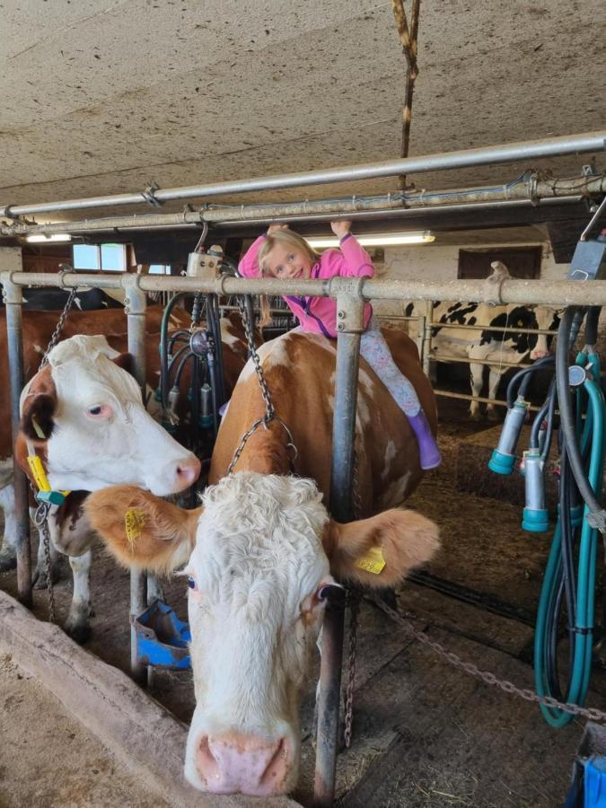 Apartament Kulmerhof - Farm Pruggern Zewnętrze zdjęcie