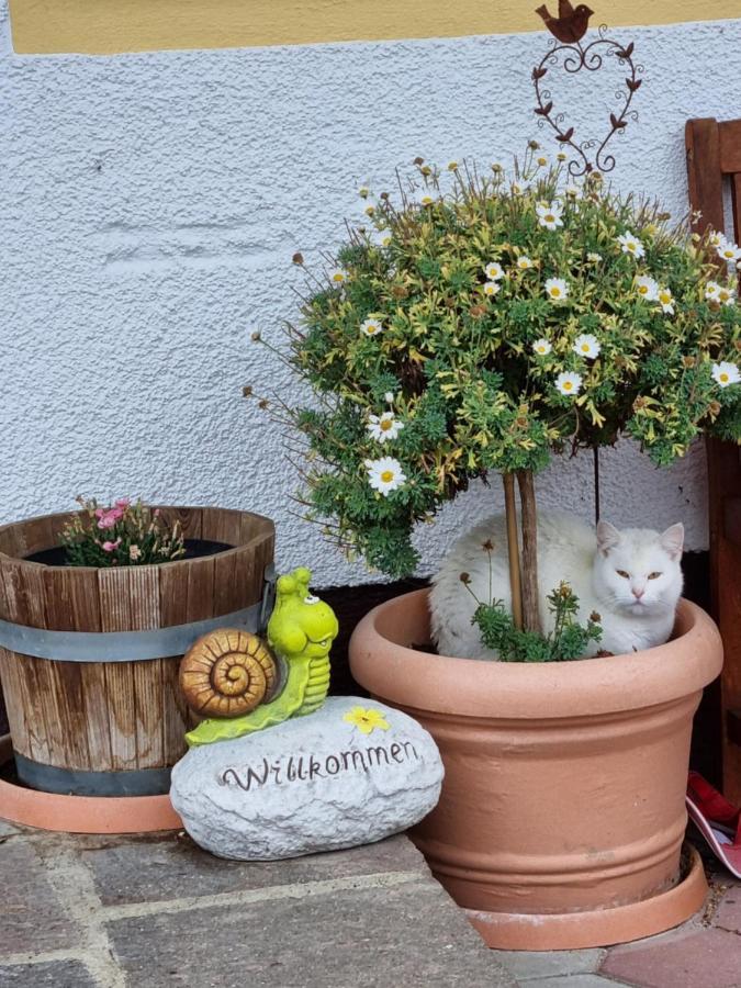 Apartament Kulmerhof - Farm Pruggern Zewnętrze zdjęcie