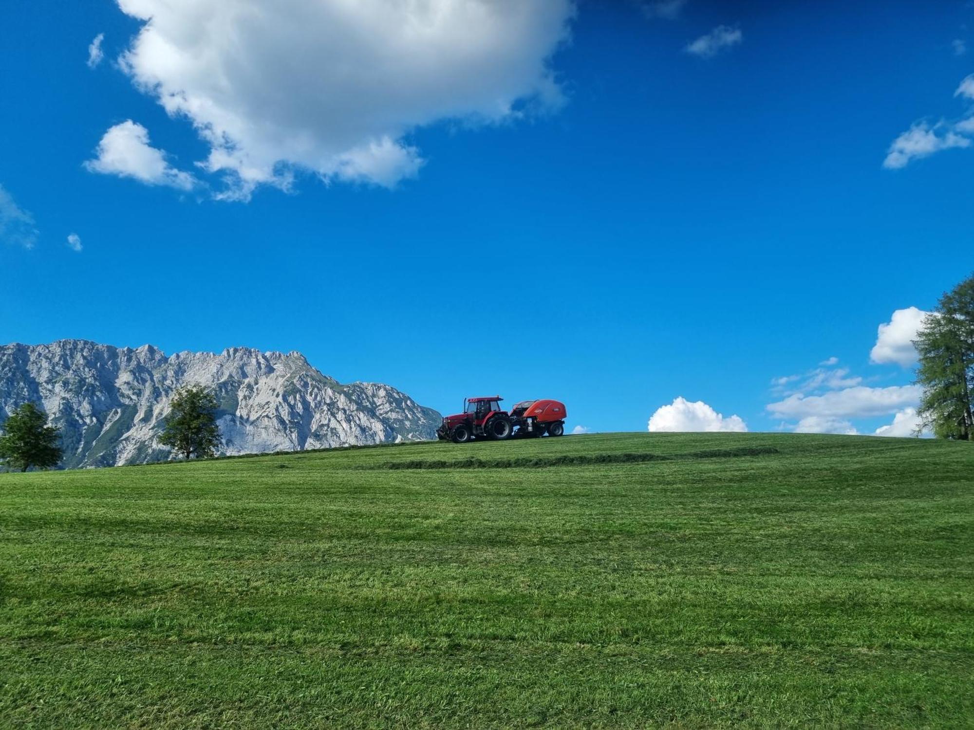 Apartament Kulmerhof - Farm Pruggern Zewnętrze zdjęcie