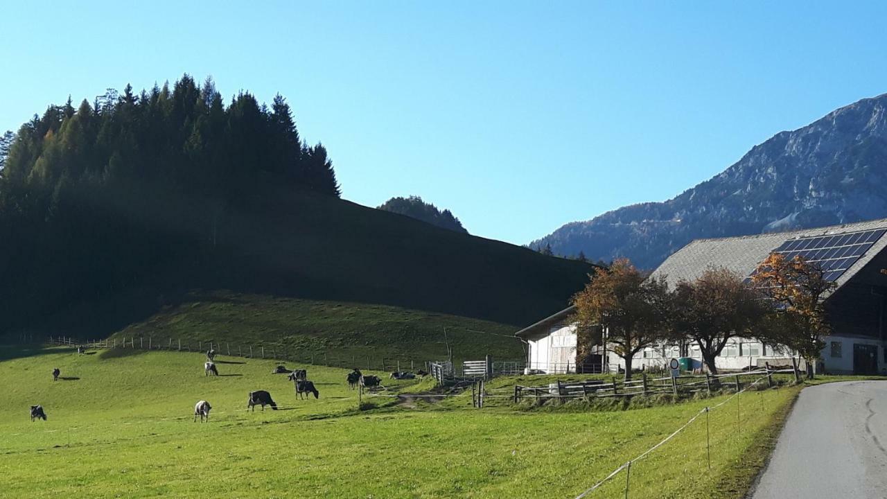 Apartament Kulmerhof - Farm Pruggern Zewnętrze zdjęcie